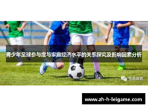 青少年足球参与度与家庭经济水平的关系探究及影响因素分析