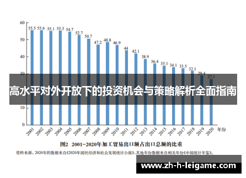 高水平对外开放下的投资机会与策略解析全面指南 高水平对外开放下的投资机会与策略解析全面指南
